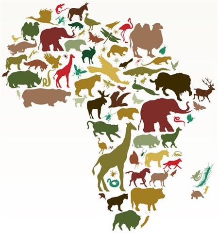 Afri3001 carte de l afrique animaux africains pochoir mon artisane srtyle pochoir