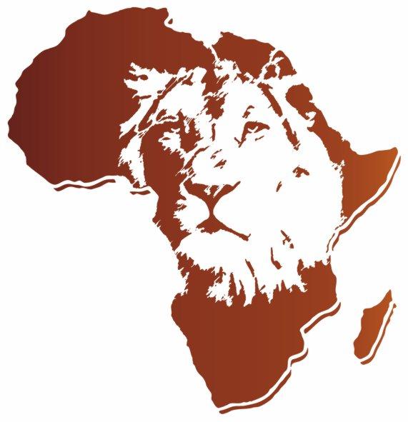 Afri320 lion afrique pochoir style pochoir