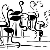 An704 oiseaux flamants roses dans leau pochoir style pochoir