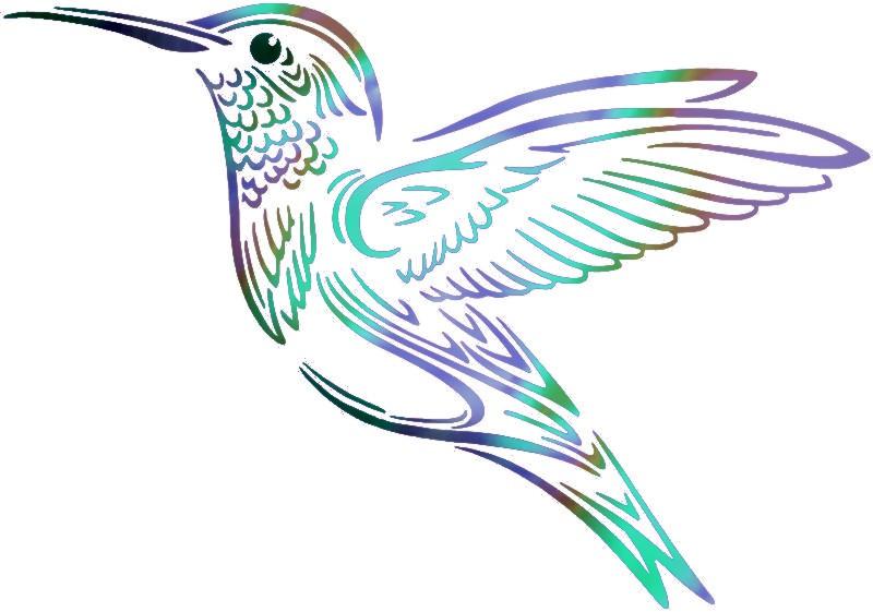 An801 colibri pochoir a peindre couleur