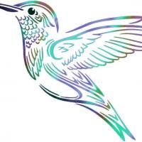 An801 colibri pochoir a peindre couleur