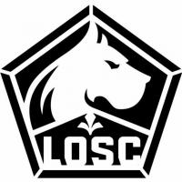 D3201 logo football club losc lille pochoir