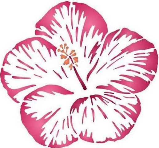 Fl194 fleur d hibiscus