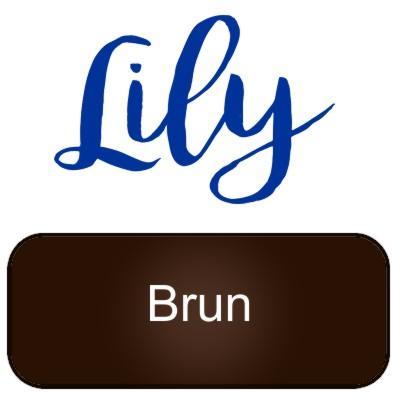 Lily artemio brun