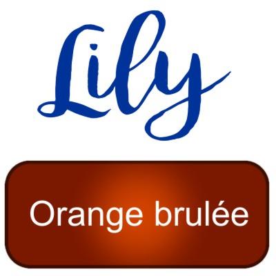 Lily artemio orange brulee burnt orange peinture pochoir