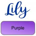 Lily artemio purple