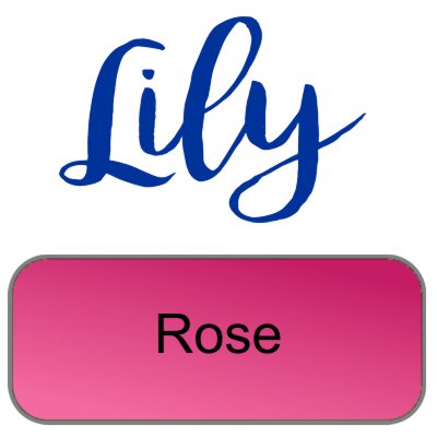 Lily artemio rose
