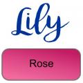Lily artemio rose