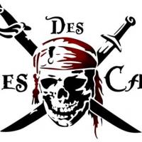 Pir45 pirate des caraibes pochoir mon artisane