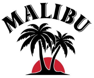 Pochoir malibu logo a peindre stencil