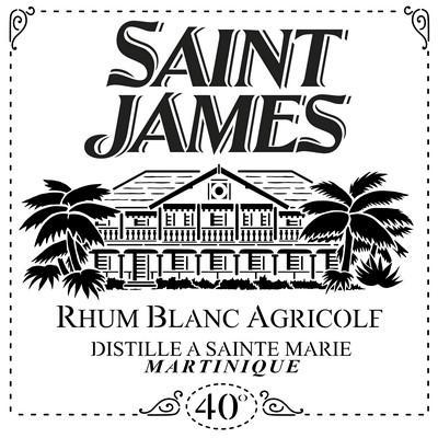 Saint james palmier habitation small