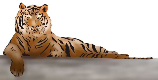 Stipo1445 pochoir tigre en 2 parties pochoirs a superposer style pochoir