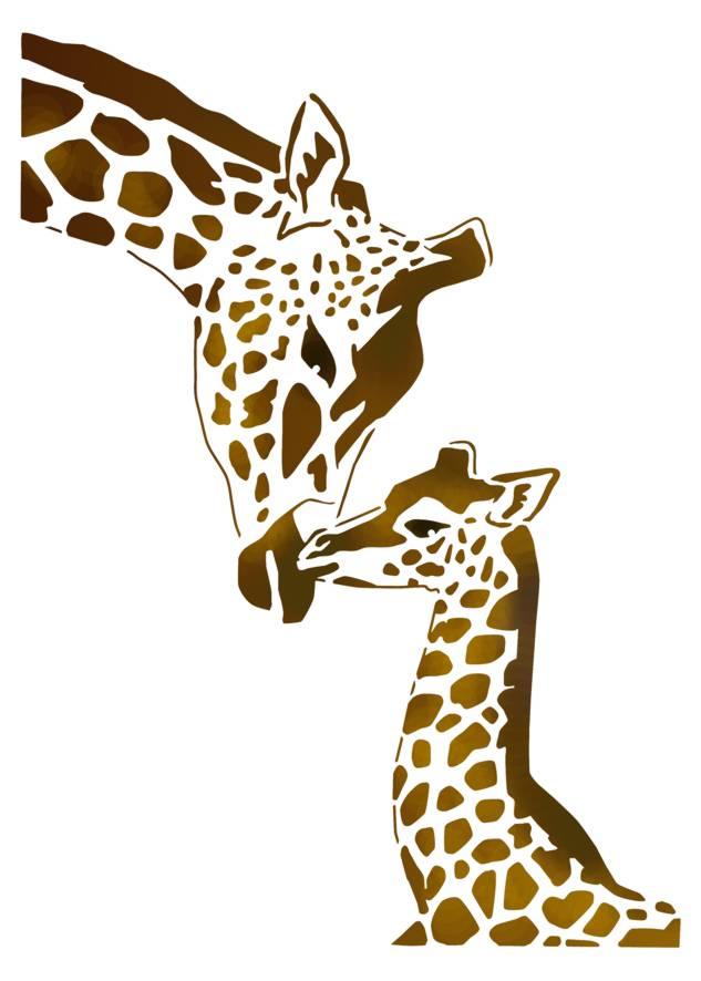 Stipo1522 girafespcoulpp