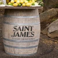 Tonneau fut en bois rhum saint james pochoir